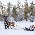 Hommala Riverside With Terrace, Sauna & Auroras Near Rovaniemi Деревянный коттедж Raiskio
