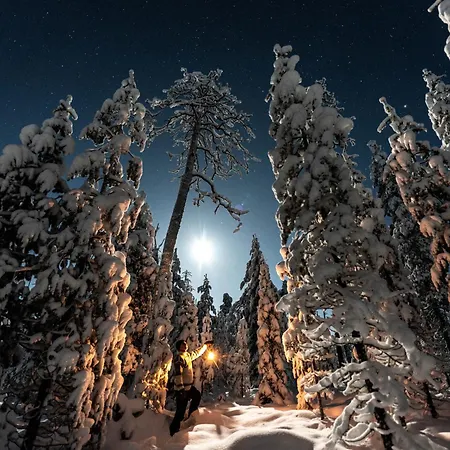 山林小屋 Hommala Riverside With Terrace, Sauna & Auroras Near Rovaniemi *