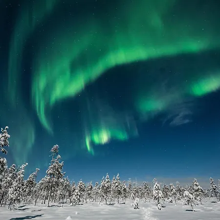 Hommala Riverside With Terrace, Sauna & Auroras Near Rovaniemi