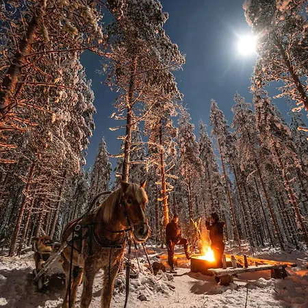Hommala Riverside With Terrace, Sauna & Auroras Near Rovaniemi 山林小屋